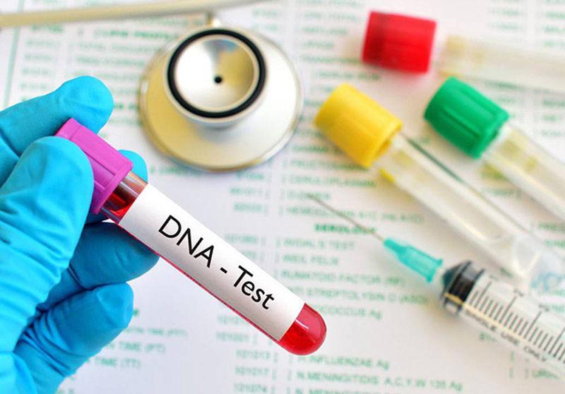Dịch vụ giám định ADN